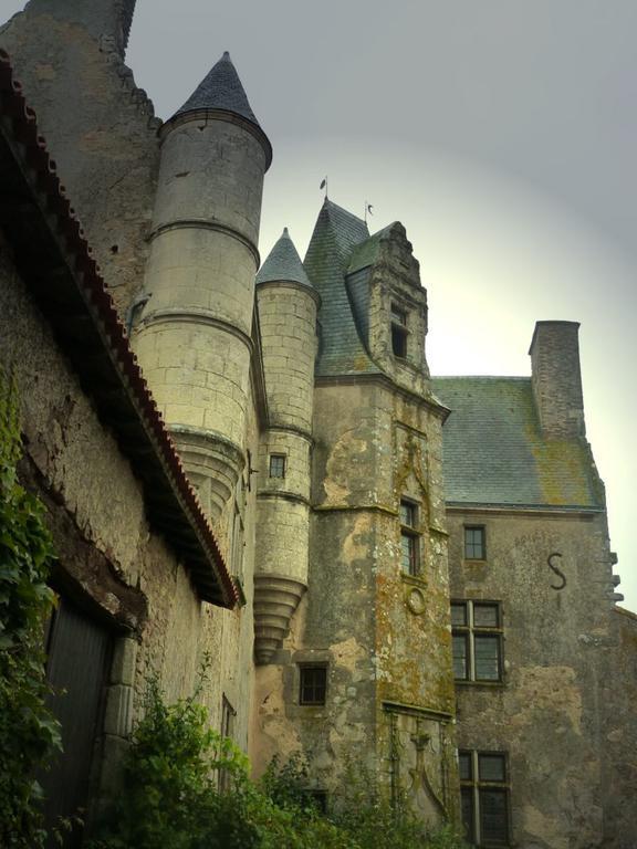 La Chapelle-Gaudin Chateau De Vermette酒店 客房 照片